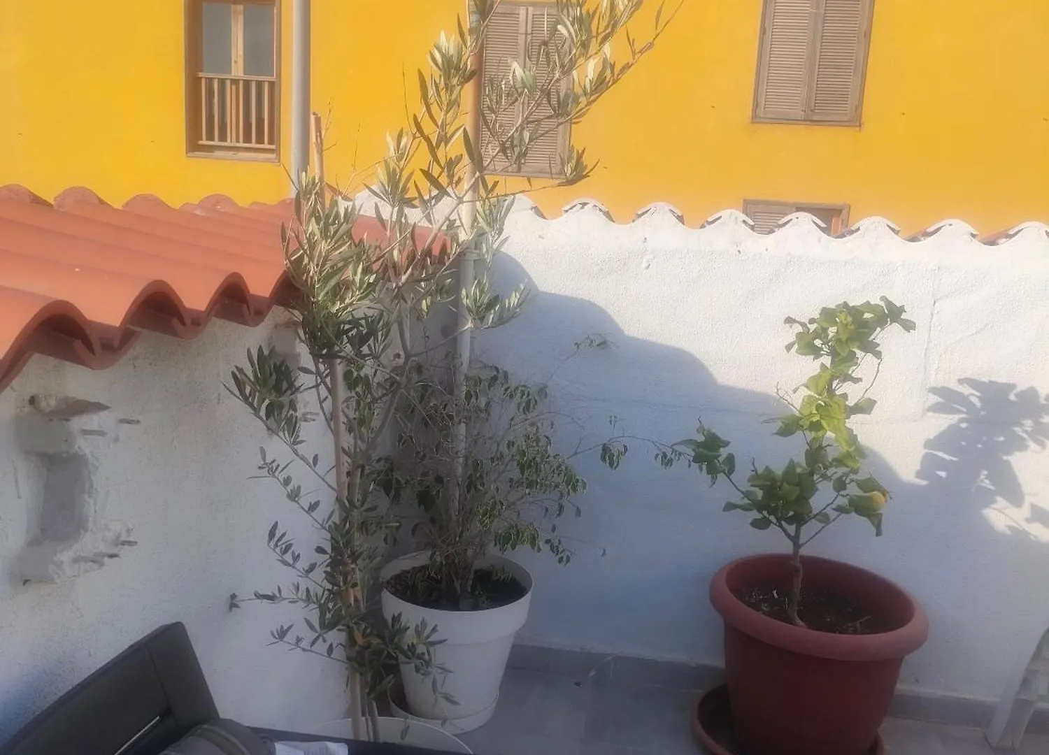 Alba 2 Apartamento Y Alba 3 Habitacion Con Bano Puerto del Rosario  Aparthotel