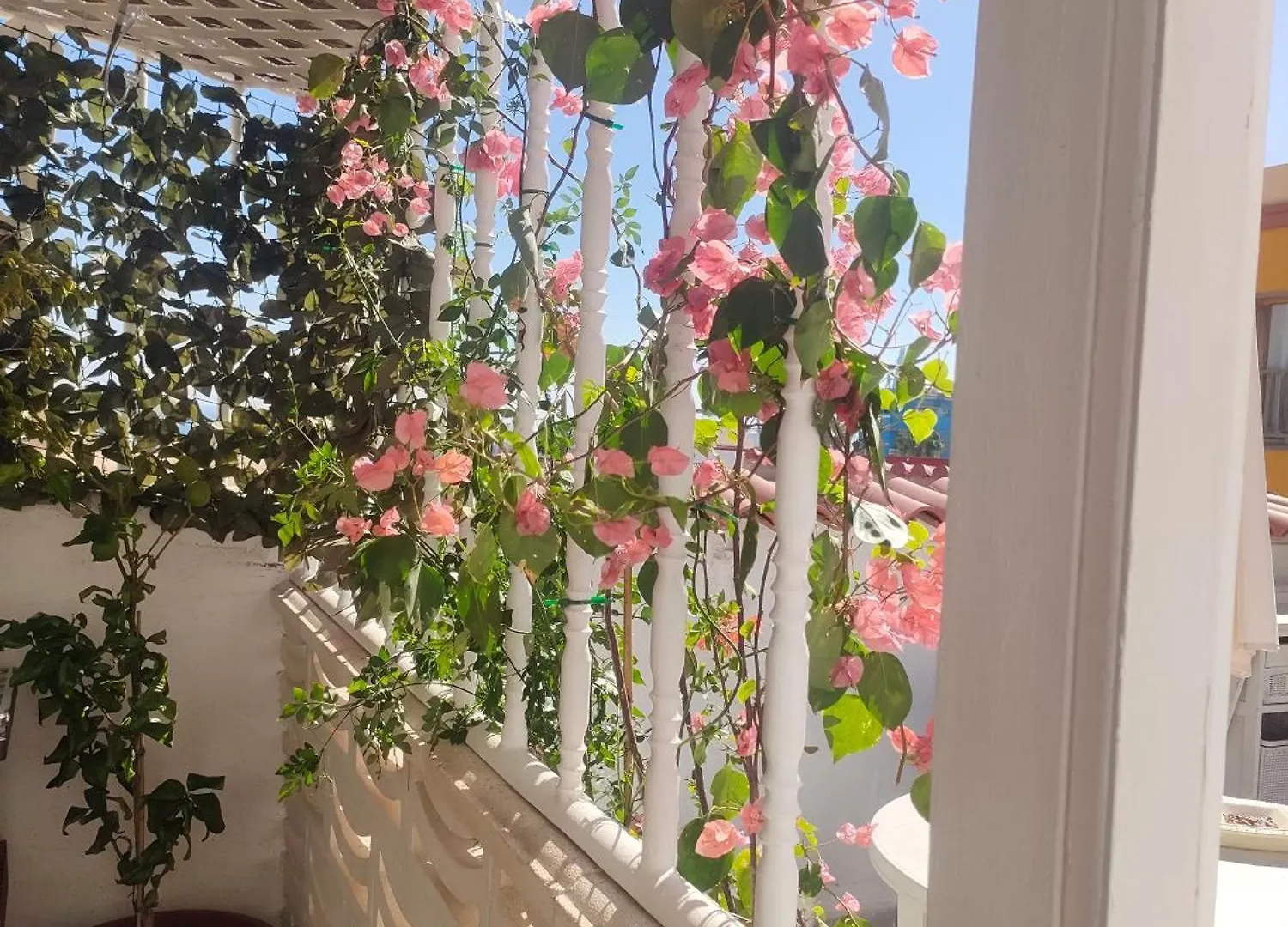 Alba 2 Apartamento Y Alba 3 Habitacion Con Bano Puerto del Rosario  Spagna