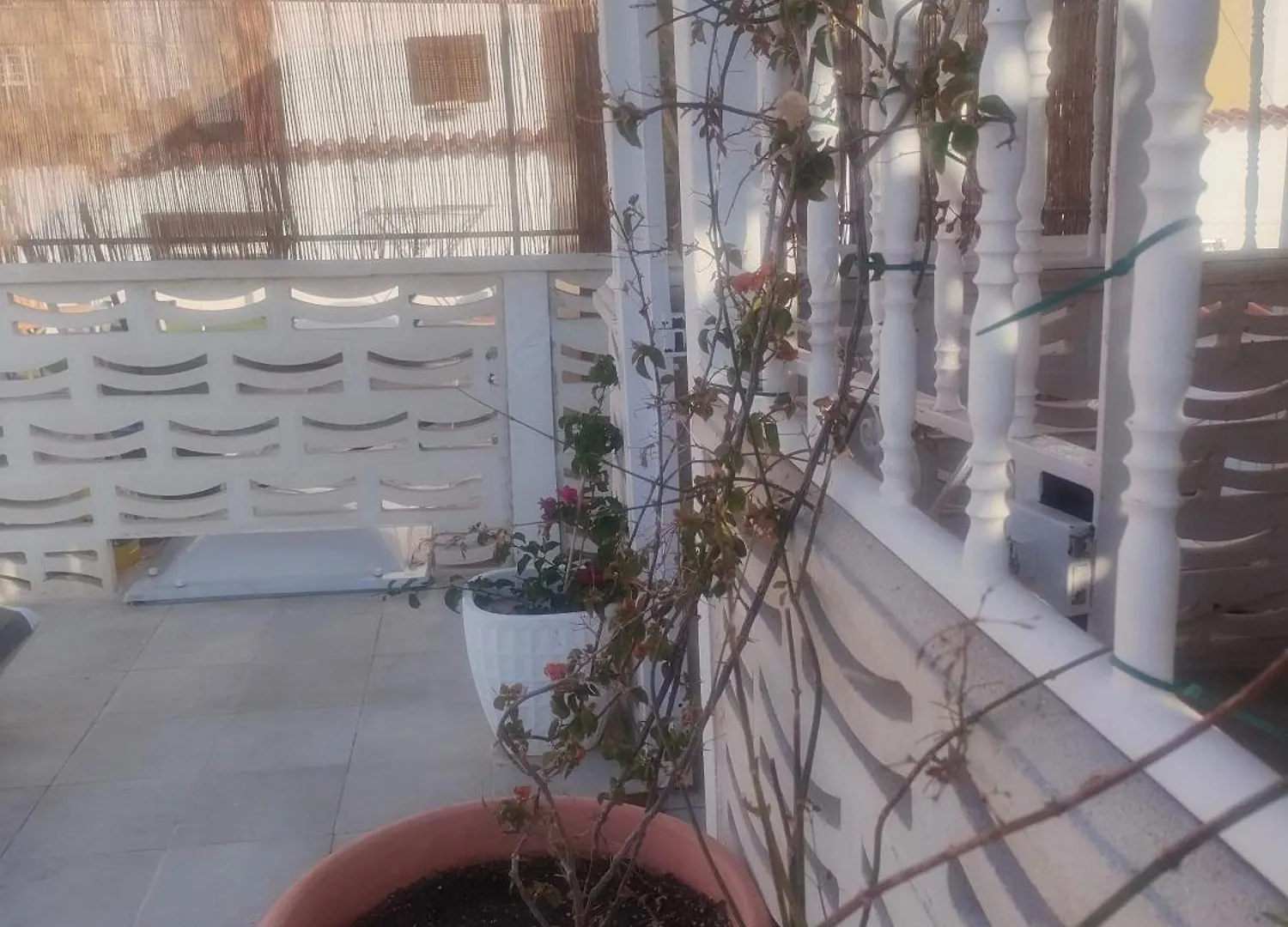 Alba 2 Apartamento Y Alba 3 Habitacion Con Bano Puerto del Rosario